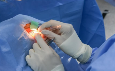 Imagem da galeria de fotos